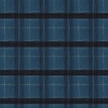 The Plaid One
